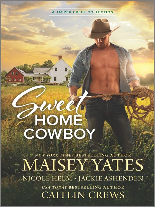 Title details for Sweet Home Cowboy by Nicole Helm - Wait list